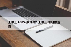 王中王100%期期准: 王中王期期准选一肖 