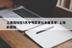 上海目标在5月中旬实现社会面清零: 上海的目标 